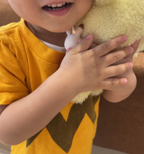 「ついてきちゃったの？」