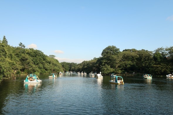 吉祥寺 井の頭恩賜公園 井の頭公園