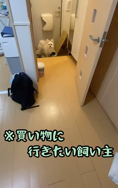 お出掛け前の攻防戦