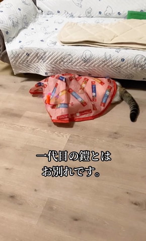 一代目の鎧とはお別れ