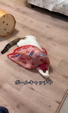 ボールキャッチやテロップ