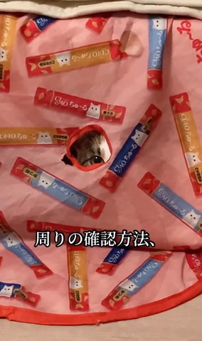 周りの確認方法テロップ