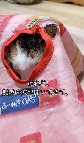 けれど無数の穴がテロップ