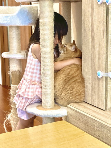 娘さんと猫ちゃん