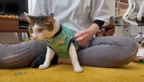 保護服を着せる