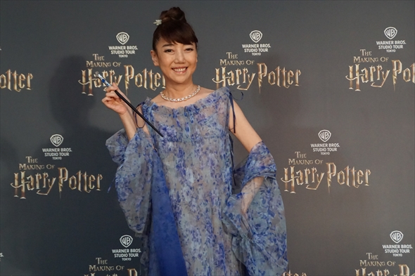 ハリー・ポッター スタジオツアー としまえん