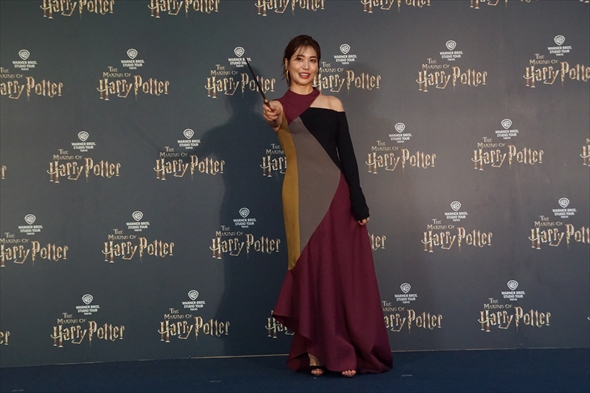 ハリー・ポッター スタジオツアー としまえん