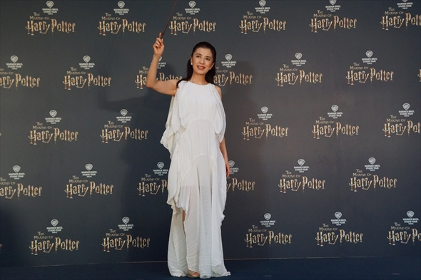 ハリー・ポッター スタジオツアー としまえん