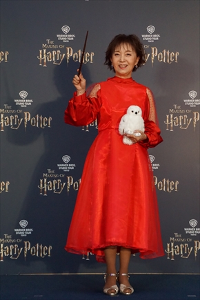 ハリー・ポッター スタジオツアー としまえん