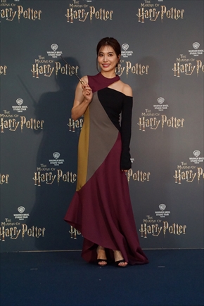 ハリー・ポッター スタジオツアー としまえん