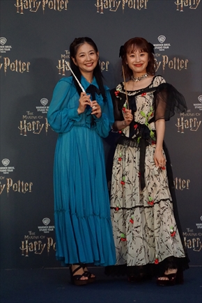 ハリー・ポッター スタジオツアー としまえん