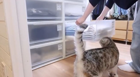 片付け後の画像