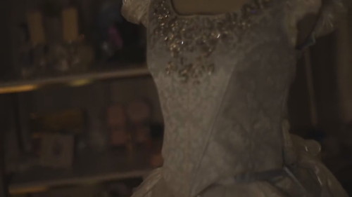 輝くシンデレラのドレス