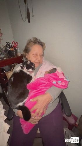 猫と孫を抱っこするおばあちゃん