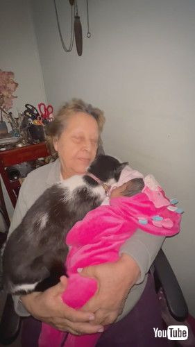 猫と孫を抱っこするおばあちゃん