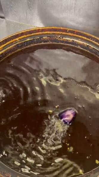 ナス 野菜 モーター