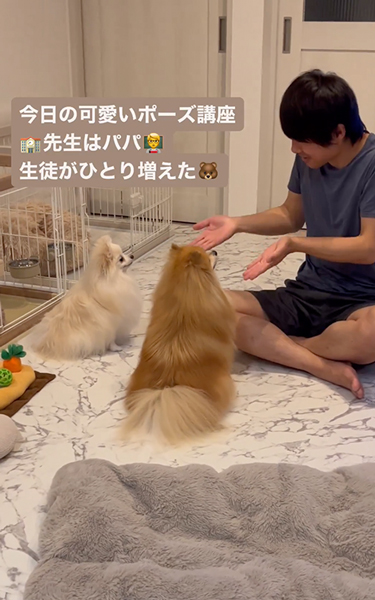 かわいいポーズ講座