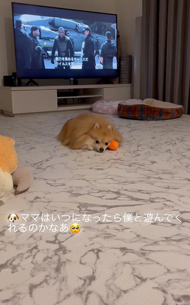 映画に集中できない