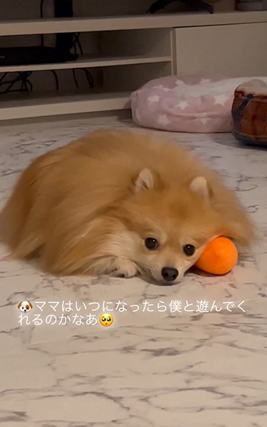 映画に集中できない