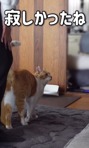 寂しかったねテロップ