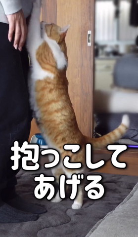 抱っこしてあげるテロップ