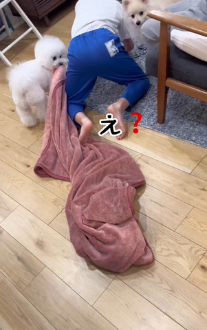 四つん這いになるお兄ちゃん