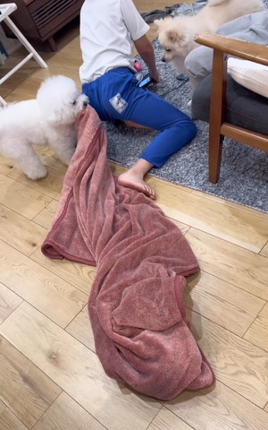 体を起こすお兄ちゃんとワンコ