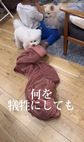 何を犠牲にしても