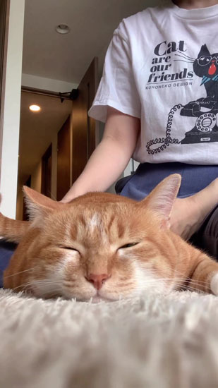 目をつむるナナちゃん