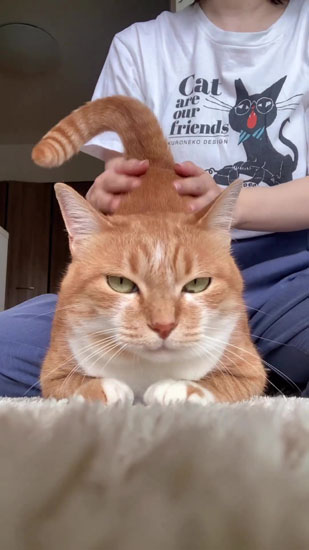 おしりをさわられるナナちゃん