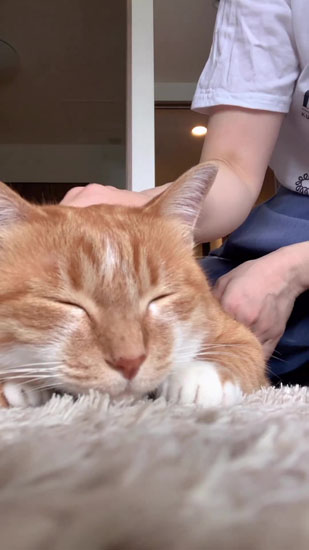 とろけていくナナちゃん