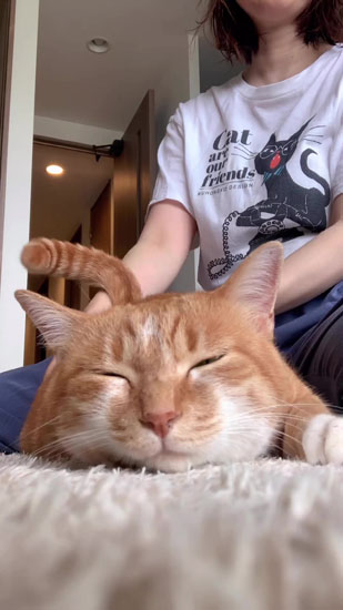 眠そうなナナちゃん