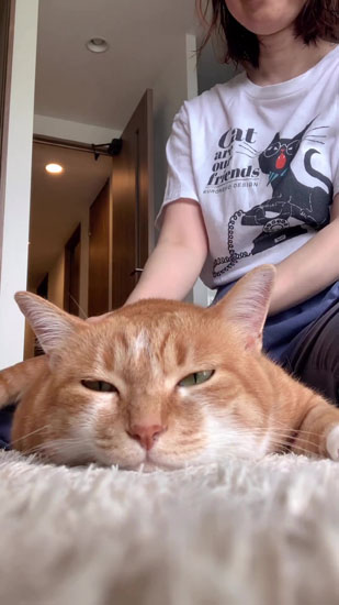 スライムになるナナちゃん