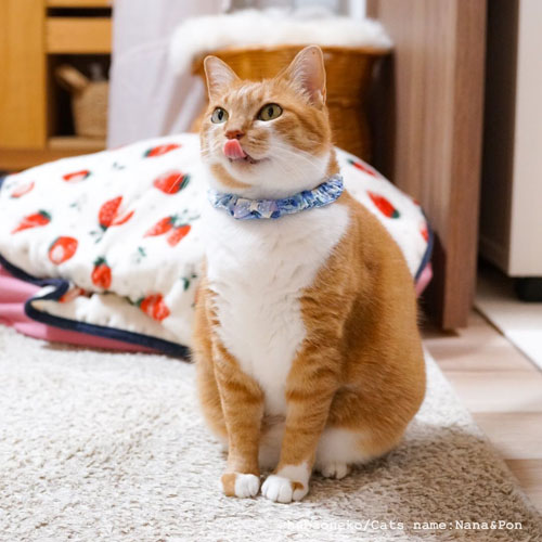 舌が出ちゃうナナちゃん