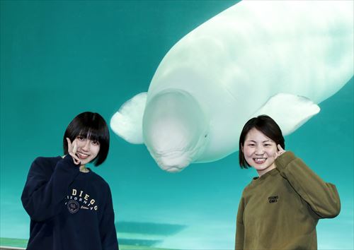 鴨川シーワールド夜の水族館