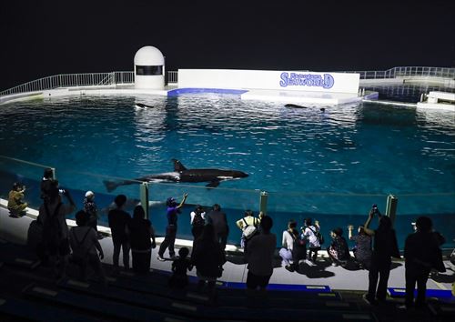 鴨川シーワールド夜の水族館