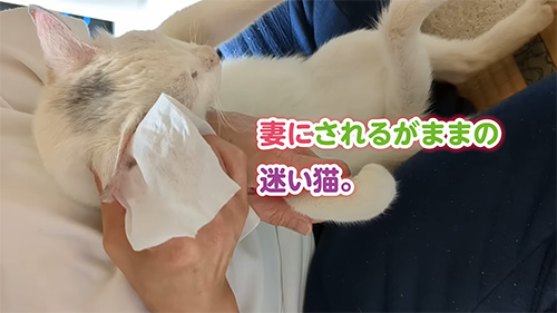 されるがままの