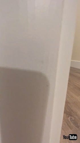 「Sneaky Cat Slides To Corner || ViralHog」