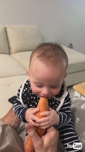 「Sweet Potato Spurs Laughing Fit || ViralHog」