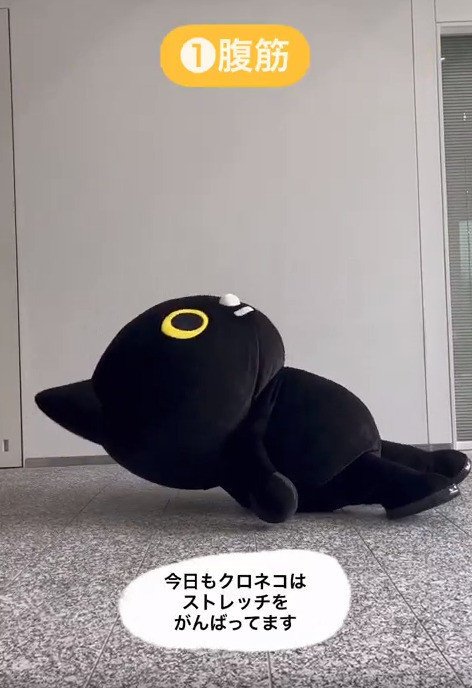 クロネコヤマト