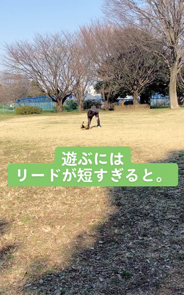 ワンコと一緒にダッシュするパパ