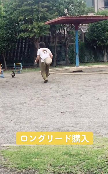 ワンコと一緒にダッシュするパパ