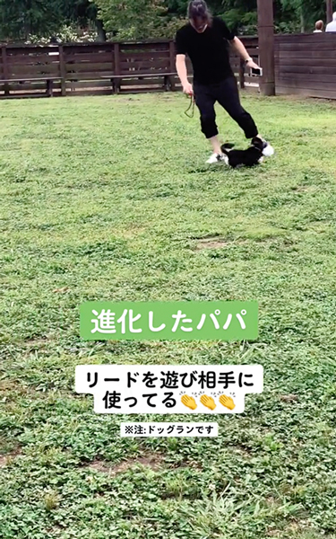 ワンコと一緒にダッシュするパパ