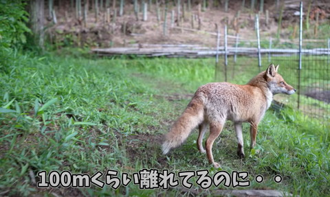 100ｍくらい離れてるのにテロップ