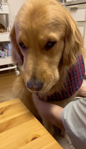 少し左向いて上目遣い