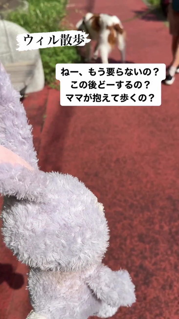 ねえってば