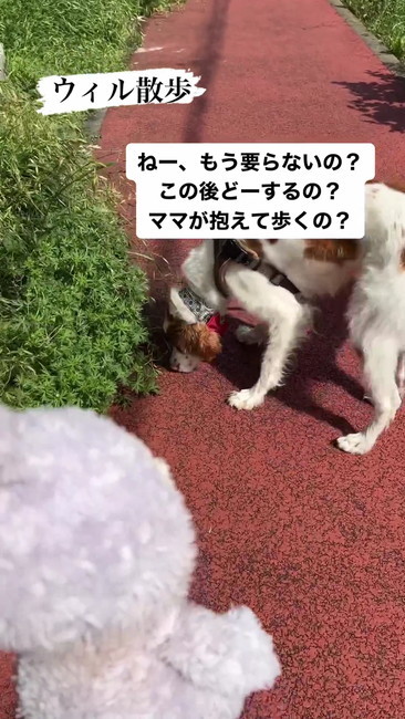 興味は草へ