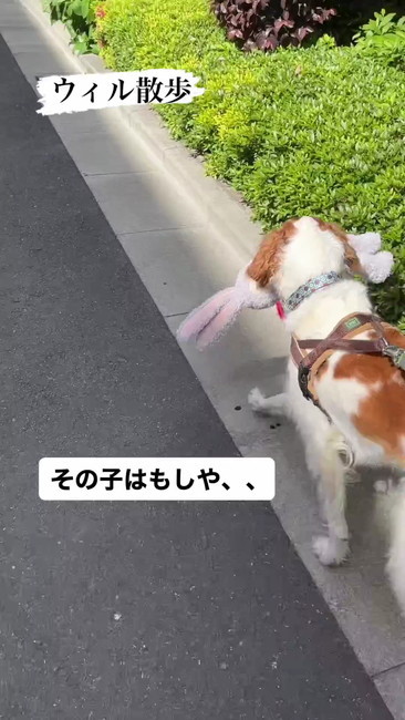 その子はもしや