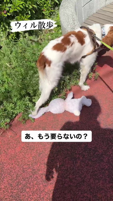 耳踏んでる