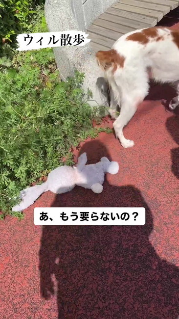 要らないの？